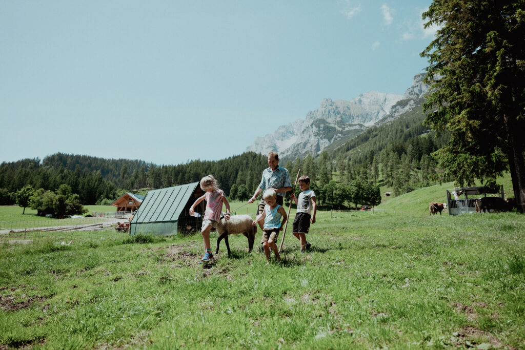 Kinder am Bauernhof im Sommer