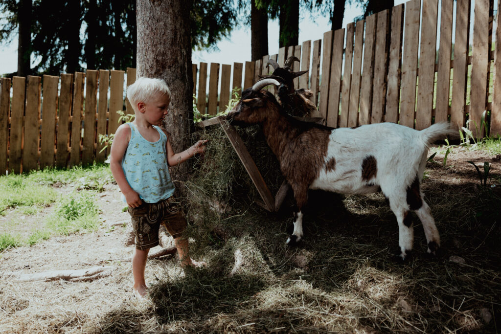 Kleiner Junge mit Ziege